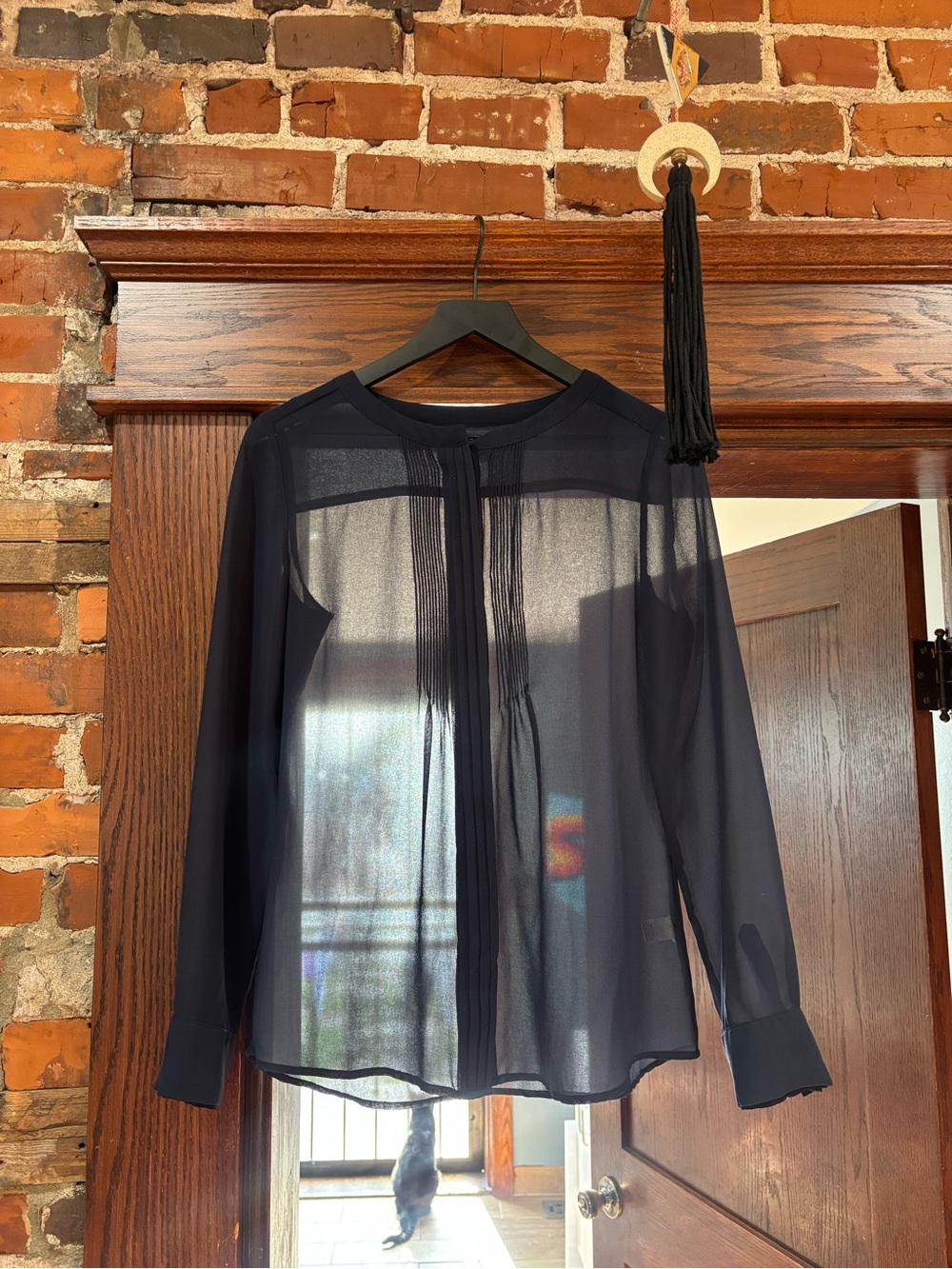 Banana Republic Sheer Long-Sleeve Blouse